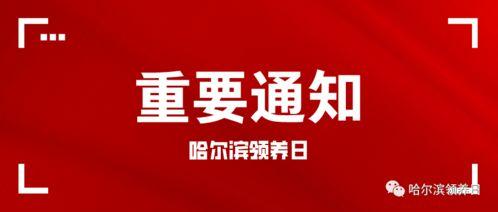 许昌土豪今日头条事件,今日头条事件背后的奢华生活揭秘