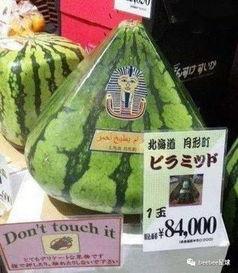 全球最美吃瓜群众,品味生活，共享人间烟火气