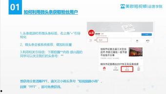 微头条是否影响垂直度,如何平衡垂直度与影响力