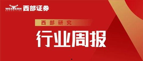 东源木京最新头条新闻,最新头条聚焦城市发展与民生改善