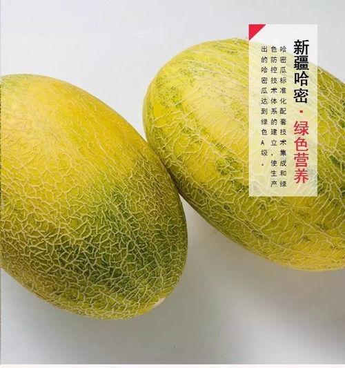 新疆民歌 吃蜜瓜,品鉴“吃蜜瓜”的韵味