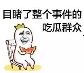 53吃瓜群众,53位吃瓜群众眼中的娱乐圈风云