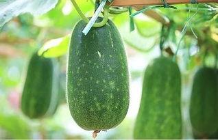 乐道吃瓜,揭秘娱乐圈幕后故事