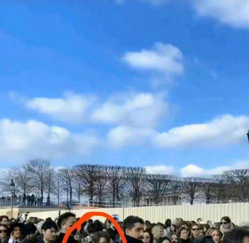 明星排队入场照片,现场盛况一览无余