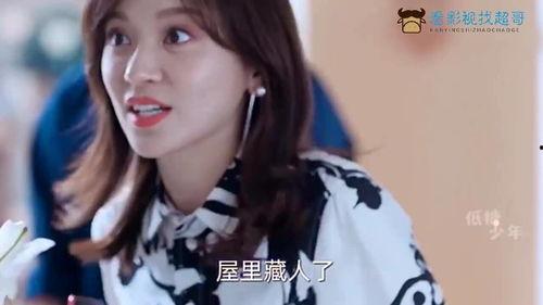 做明星电视剧,明星电视剧背后的辉煌岁月