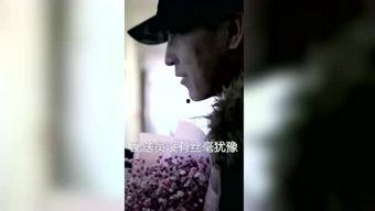 电影所至在线观看,一场跨越时空的观影之旅