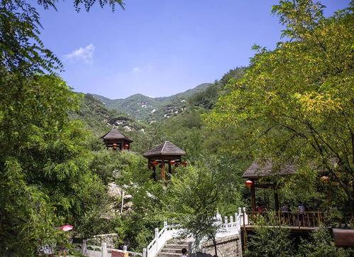 曲阳虎山新闻头条最新,真相揭晓！