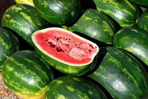 吃瓜季节视频大全,盘点年度热门视频大全