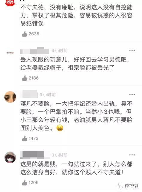 网红总裁和夫人小说
