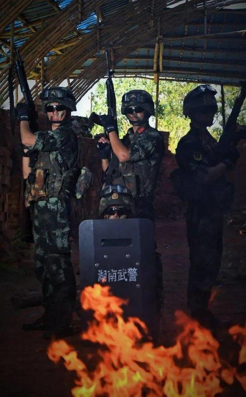 一杆钢枪爆料视频,军事装备背后的故事
