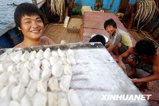 中国渔民吃瓜,瓜果飘香的海上美食之旅