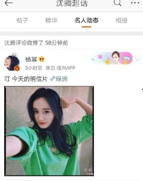 吃瓜系统沈离,揭秘娱乐圈的神秘力量